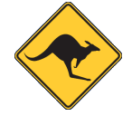 Melville Skippycoin ICG Melville Skippycoin ICG